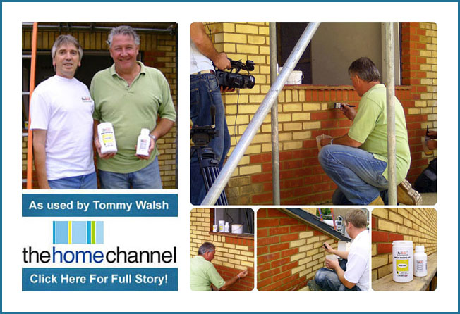 tommy-walsh-home-channel