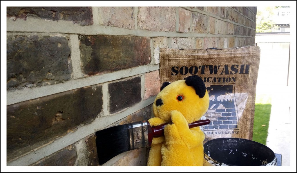 sootwashing-sooty