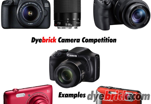 dyebrick-cameras