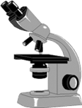 Microscope