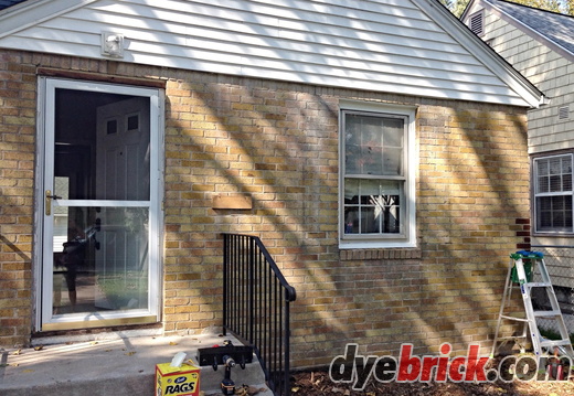 Before-Dyebrick