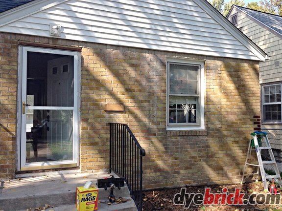 Before-Dyebrick