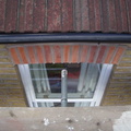 IMGP8592.JPG
