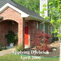 altieri-2006-dyebrick-application