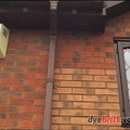 desborough-starting-2.jpg