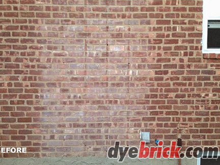 before-dyebrick