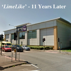 limelike-11-years