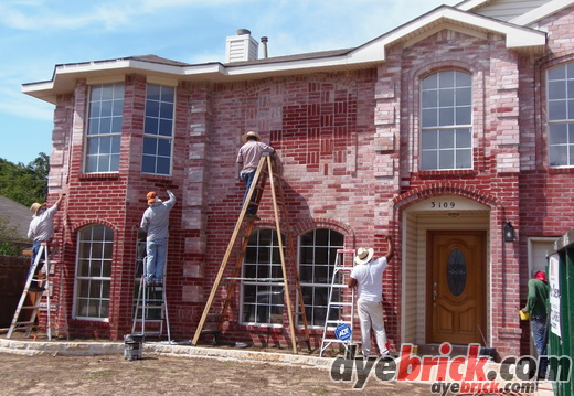 Dennis: Corinth, Texas, USA. (20 x Old English Red kits)