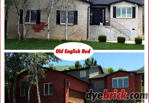 Julie: Farmington, Utah, USA (2 x Bulk Maxi-Packs of Old English Red) - display this album Julie: Farmington, Utah, USA (2 x Bulk Maxi-Packs of Old English Red)