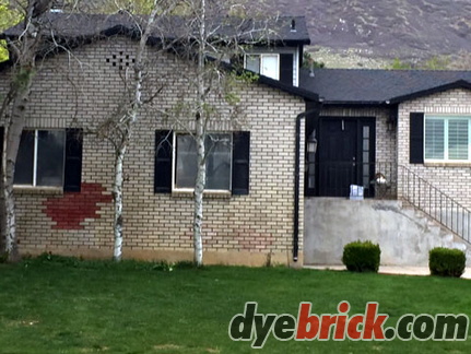 before-dyebrick