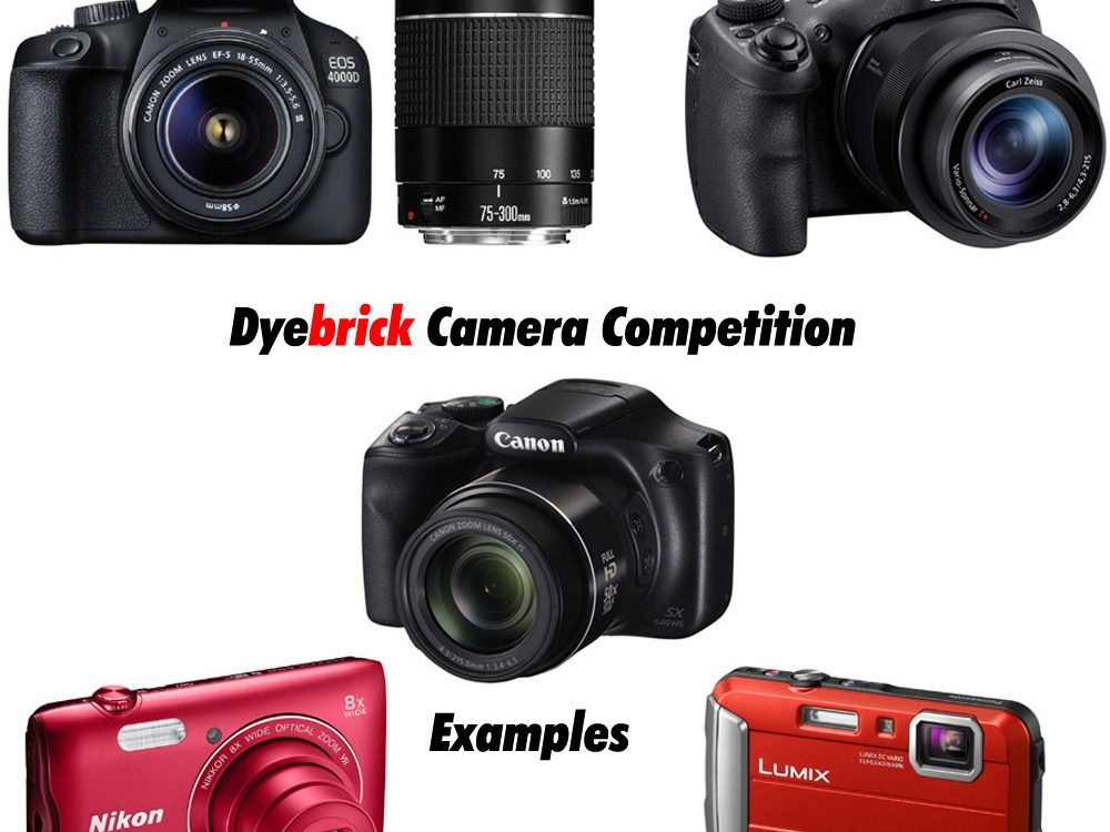 dyebrick-cameras