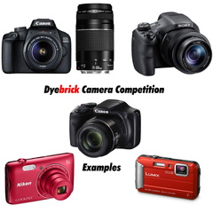 dyebrick-cameras