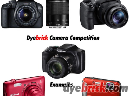dyebrick-cameras
