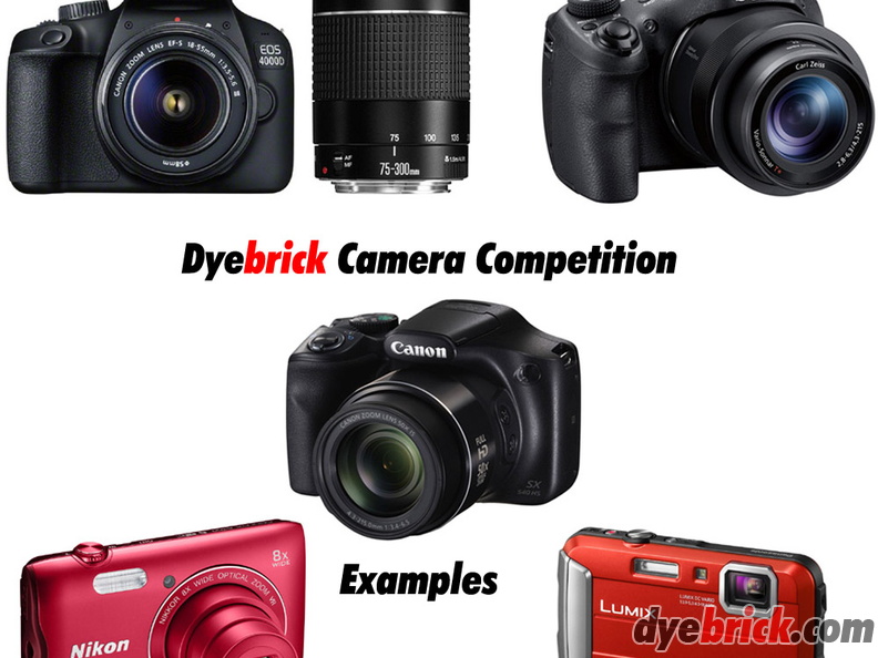 dyebrick-cameras