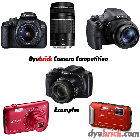 dyebrick-cameras.jpg